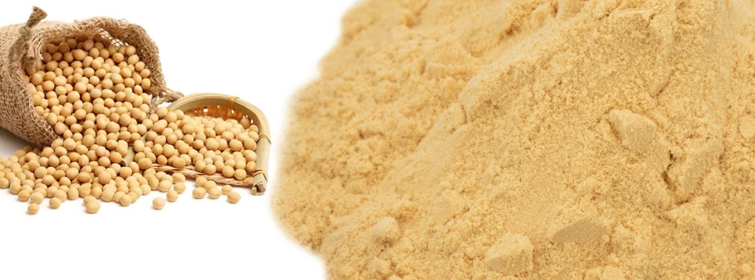 High Quality Soybean Extract Powder /Liquid Lecithin Soybean/Soya Lecithin